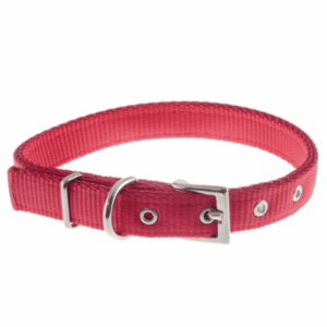 COLLAR Nº 0 de Poliprop. P/Caniche Toy 15 mm. x37 cmt: