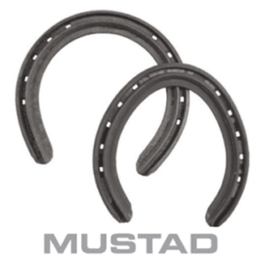 HERRADURA Hº SAN ISIDRO Nº 2/28 (JGO)