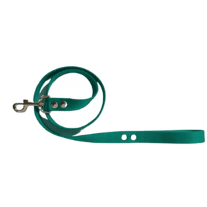 CORREA Plana P/Perro t/chico, 1.20 mt con collar y mosqueton